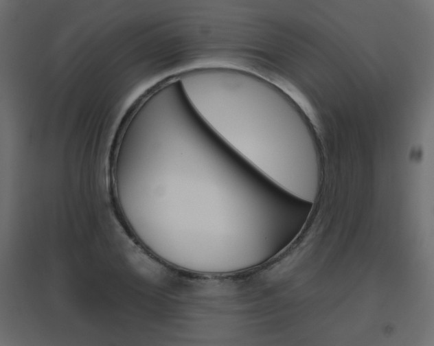 X0000096630980200802050930