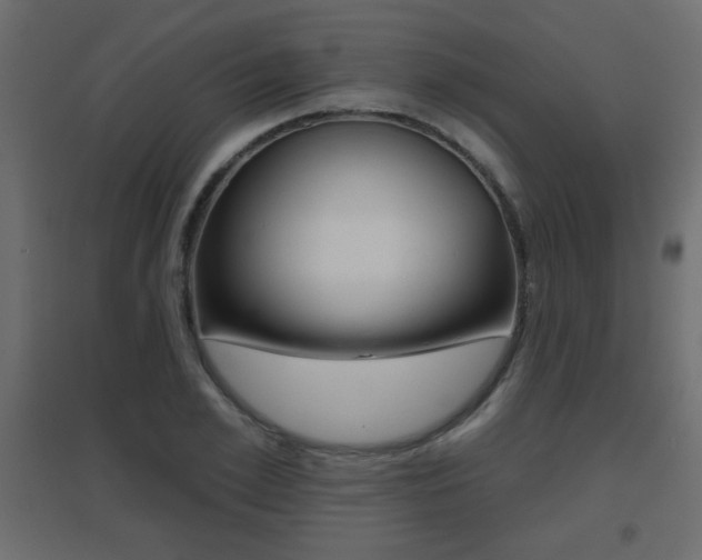 X0000096630981200802050930