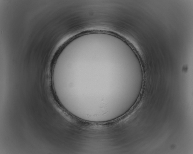 X0000096630982200802050930