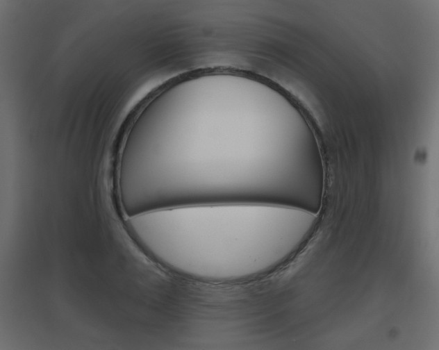 X0000096630983200802050930