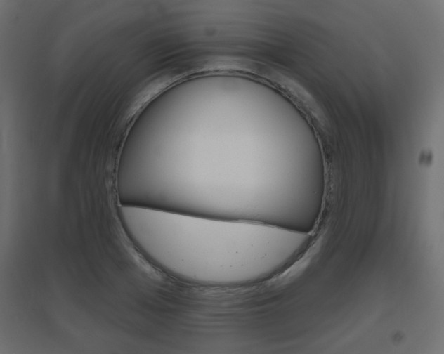 X0000096630985200802050930