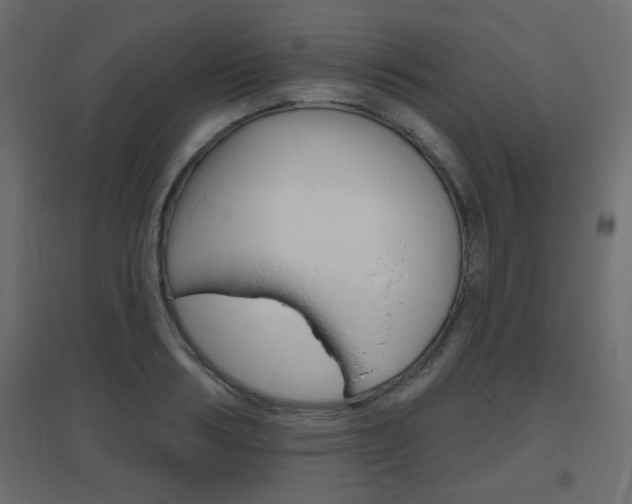X0000096630986200802050930