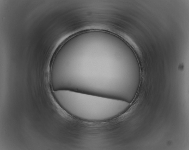 X0000096630988200802050930