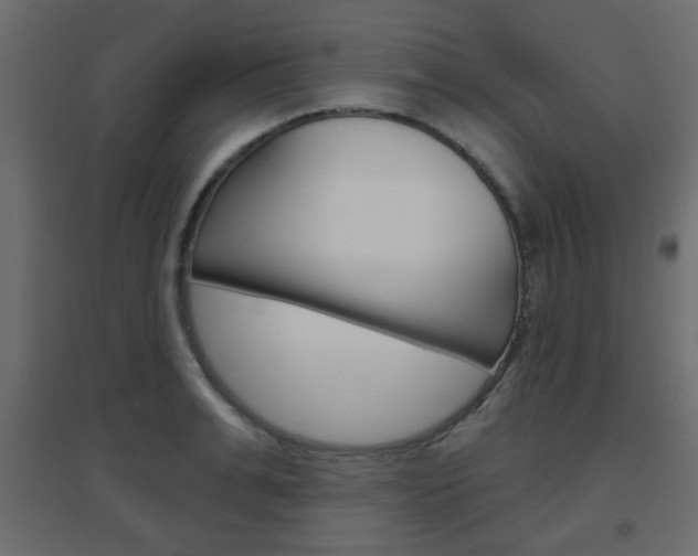 X0000096630991200802050930