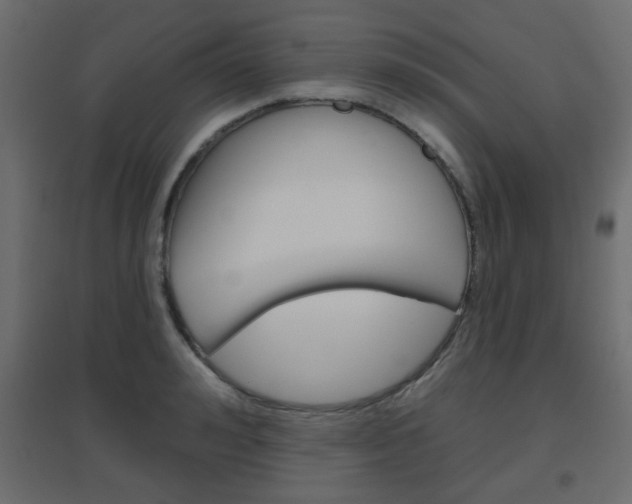 X0000096630992200802050929