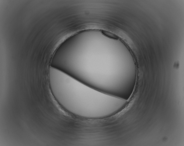 X0000096630993200802050929