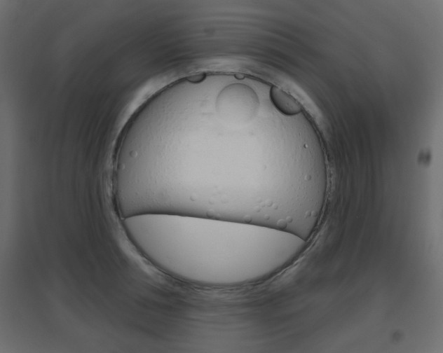 X0000096630994200802050929