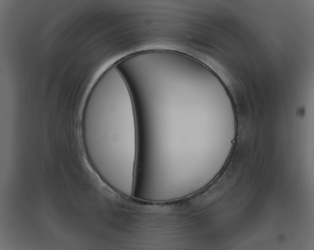 X0000096630996200802050929