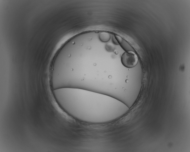 X0000096630998200802050929