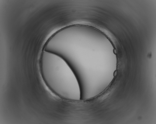 X0000096630999200802050929