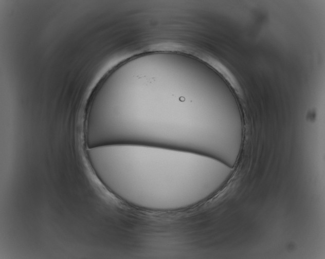 X0000096631000200802050929