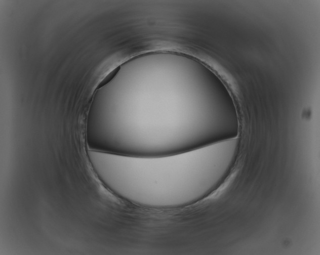 X0000096631001200802050929