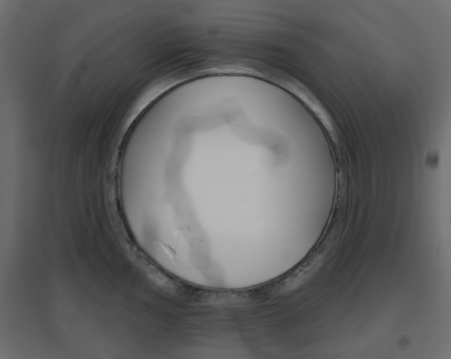 X0000096631002200802050929
