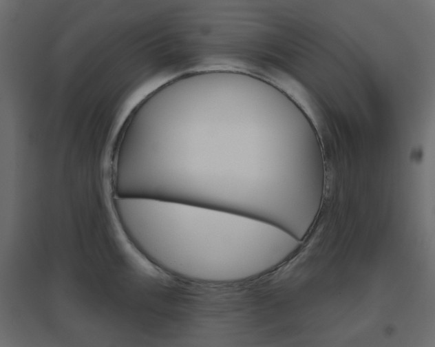 X0000096631003200802050929