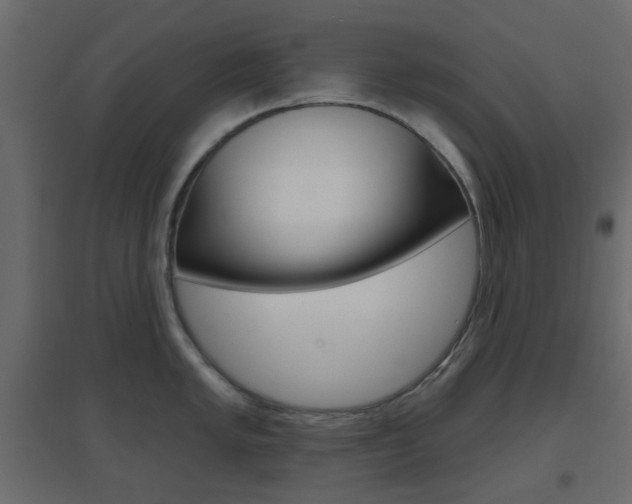 X0000096631005200802050929