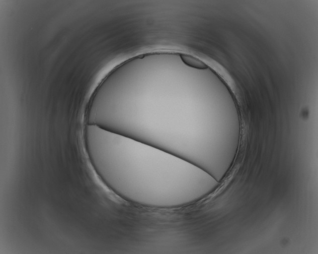 X0000096631006200802050929
