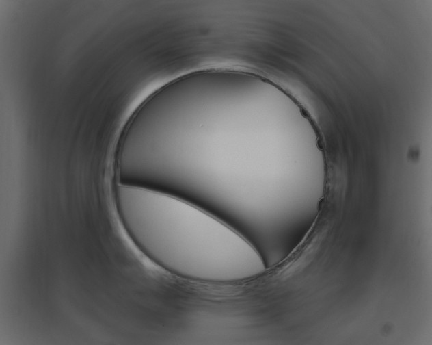 X0000096631007200802050929