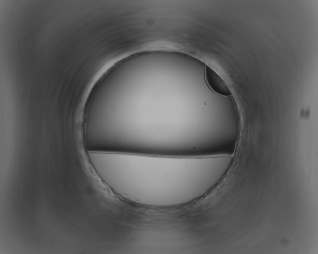 X0000096631008200802050929