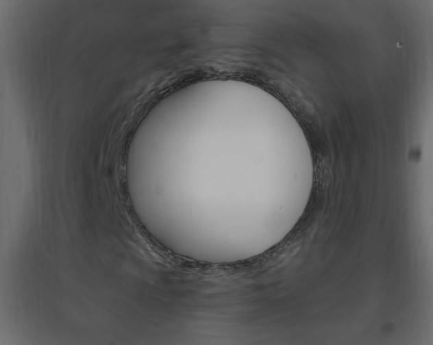 X0000096631009200802050928