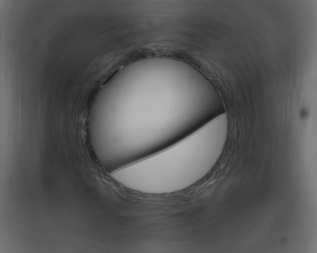 X0000096631010200802050928