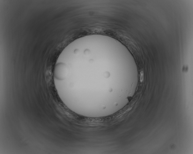 X0000096631011200802050928