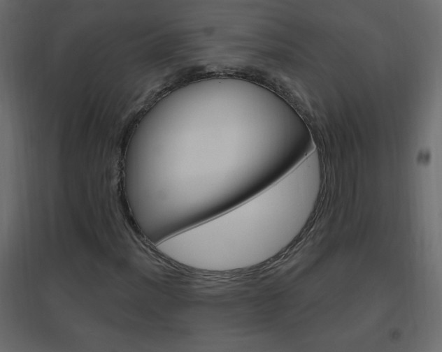 X0000096631012200802050928