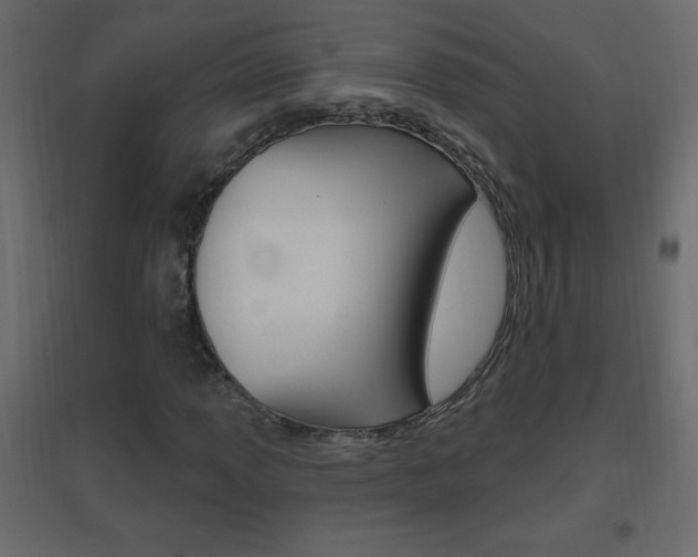 X0000096631013200802050928