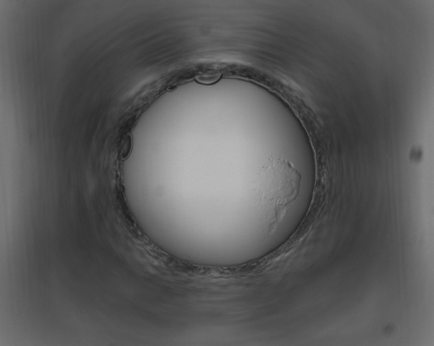 X0000096631014200802050929