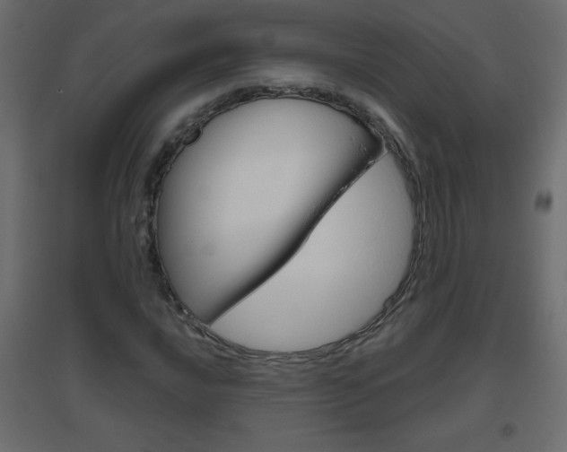 X0000096631016200802050929