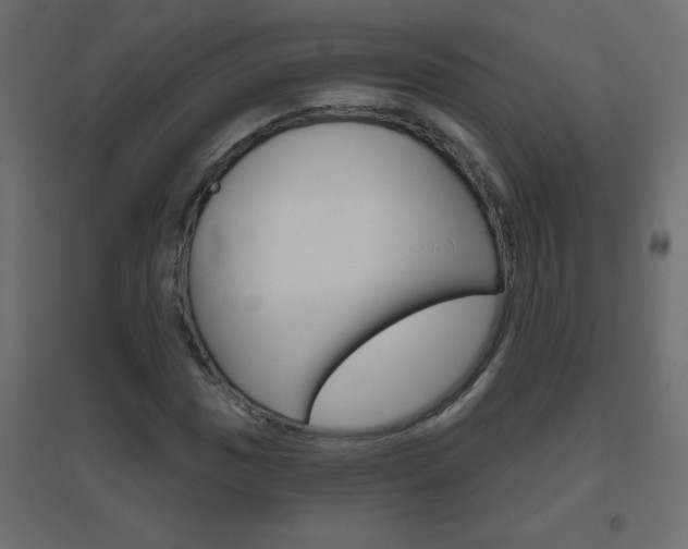 X0000096631017200802050929