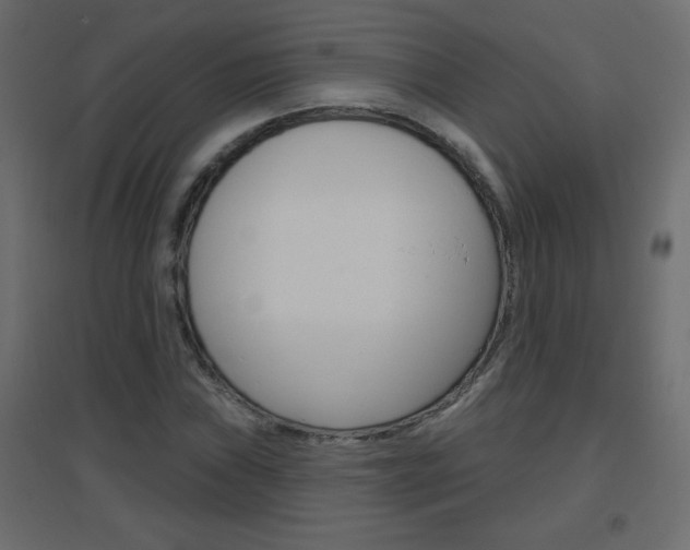 X0000096631019200802050929