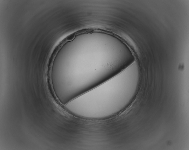 X0000096631020200802050929