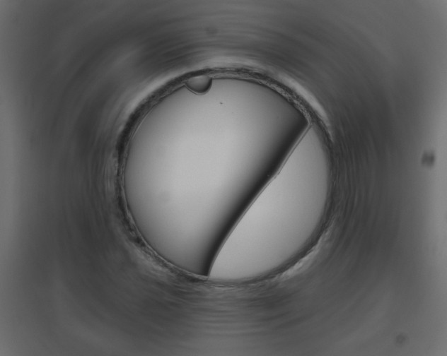 X0000096631021200802050929