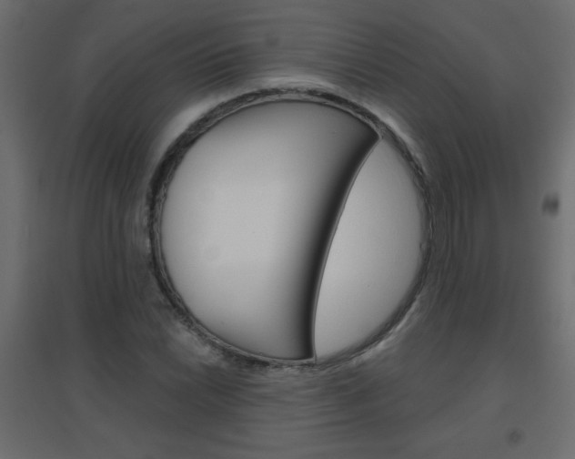X0000096631022200802050929