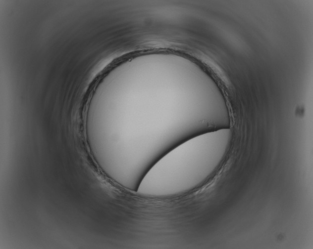 X0000096631023200802050929