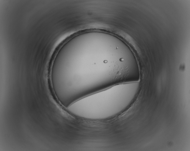 X0000096631024200802050929