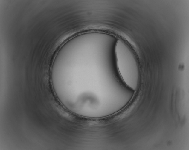 X0000096631025200802050929