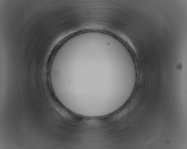 X0000096631027200802050929