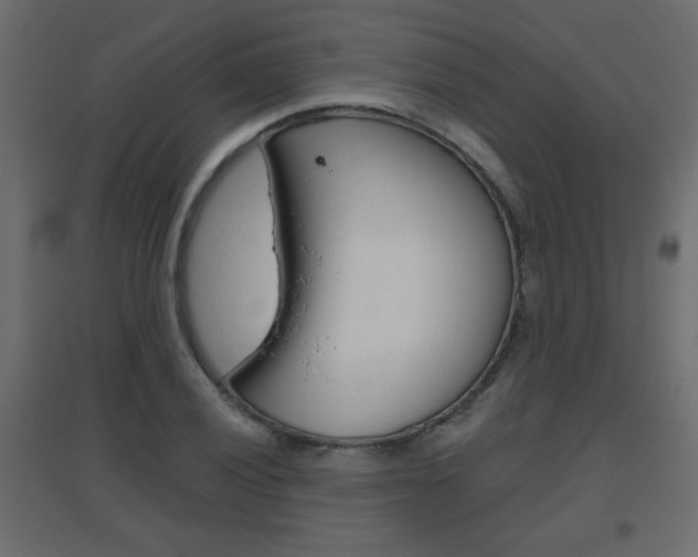 X0000096631028200802050929