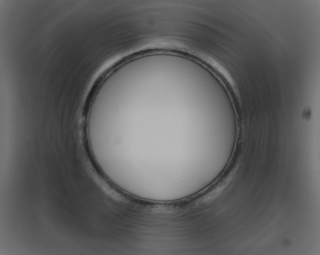 X0000096631029200802050929