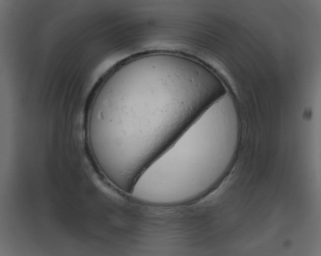 X0000096631030200802050929