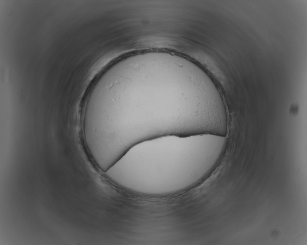 X0000096631031200802050929