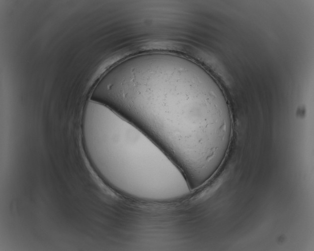 X0000096631033200802050929
