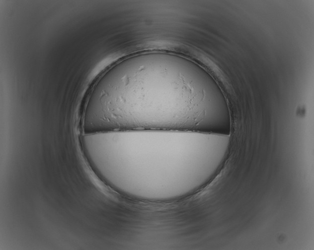X0000096631034200802050929