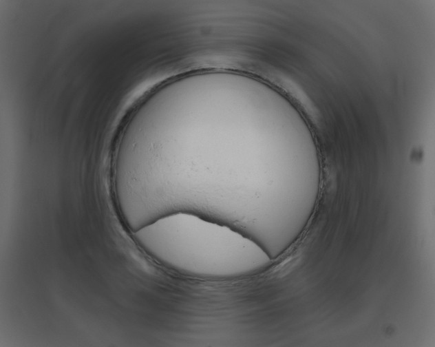 X0000096631035200802050929