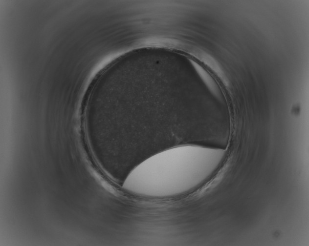 X0000096631037200802050929