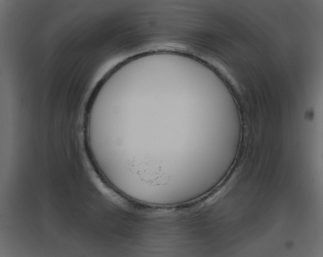 X0000096631038200802050929