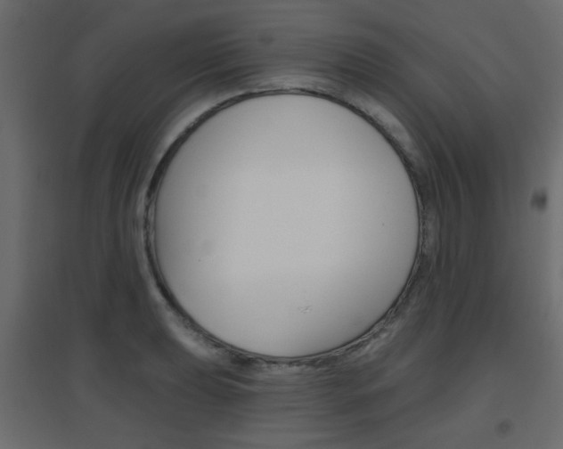 X0000096631039200802050929