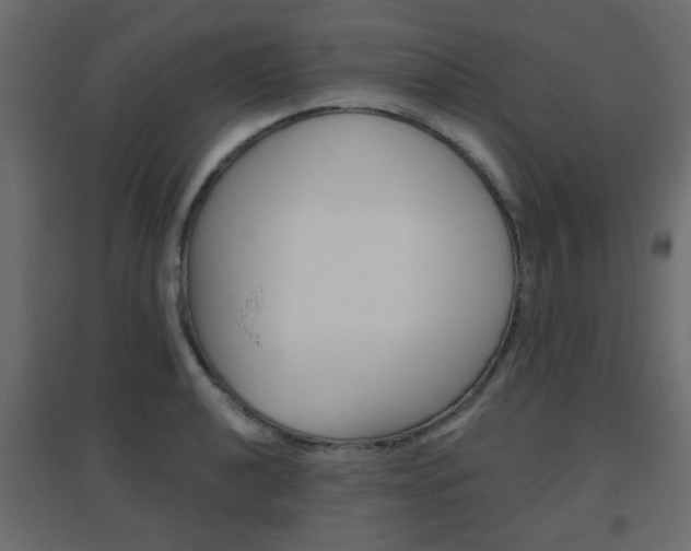X0000096631040200802050929