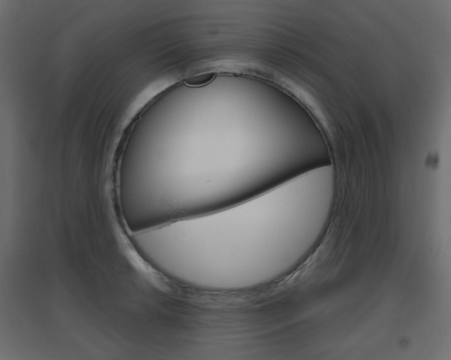 X0000096631042200802050929